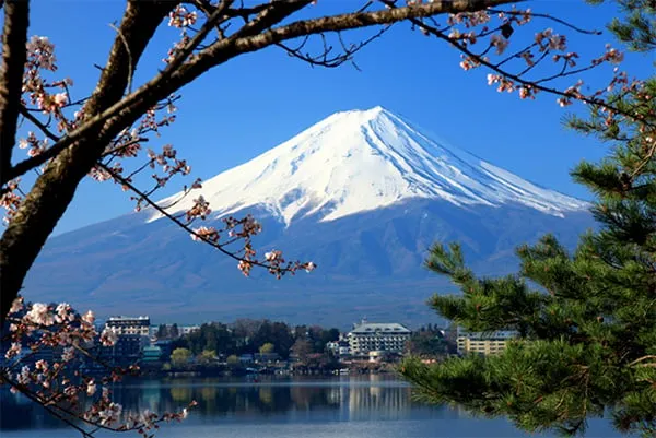 Snowcapped Mt Fuji in Japan